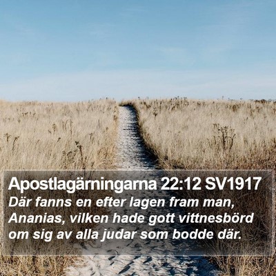 Apostlagärningarna 22:12 SV1917 Bible Verse Image