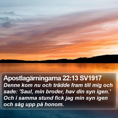 Apostlagärningarna 22:13 SV1917 Bible Verse Image