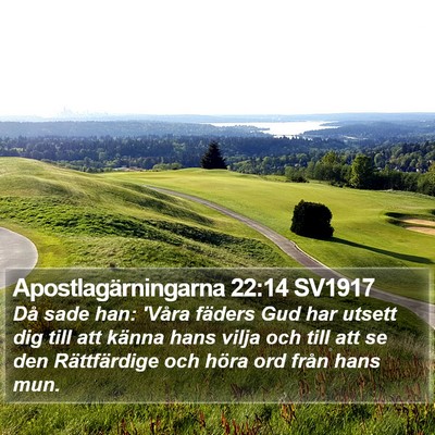 Apostlagärningarna 22:14 SV1917 Bible Verse Image