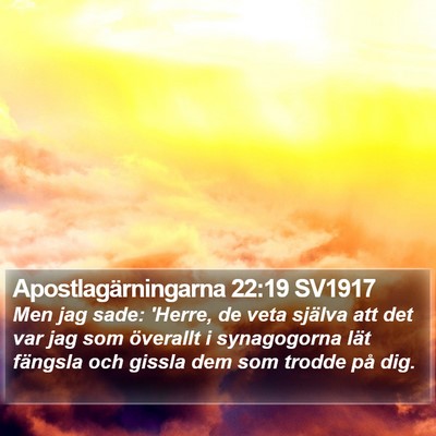 Apostlagärningarna 22:19 SV1917 Bible Verse Image