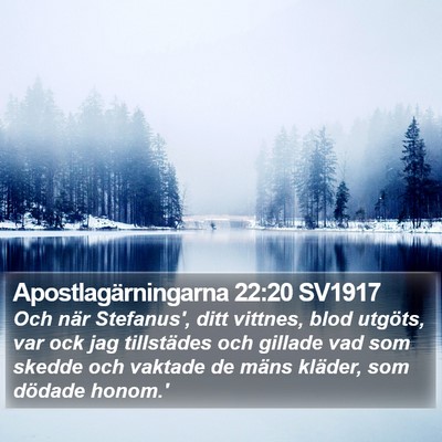 Apostlagärningarna 22:20 SV1917 Bible Verse Image