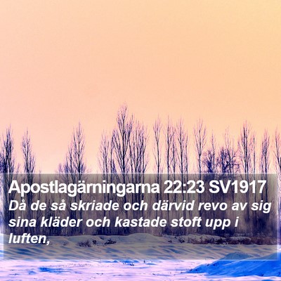 Apostlagärningarna 22:23 SV1917 Bible Verse Image