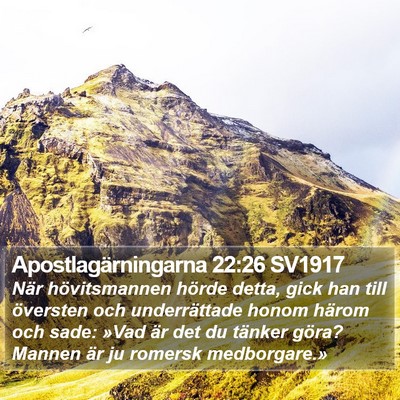Apostlagärningarna 22:26 SV1917 Bible Verse Image