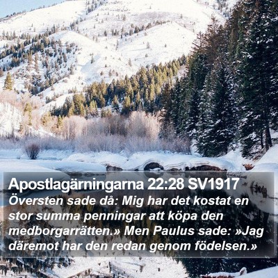 Apostlagärningarna 22:28 SV1917 Bible Verse Image