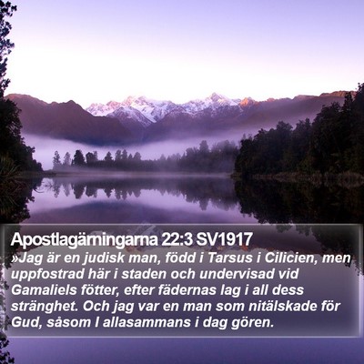 Apostlagärningarna 22:3 SV1917 Bible Verse Image