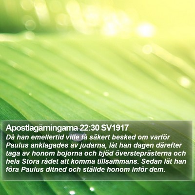 Apostlagärningarna 22:30 SV1917 Bible Verse Image