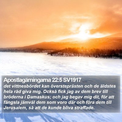 Apostlagärningarna 22:5 SV1917 Bible Verse Image