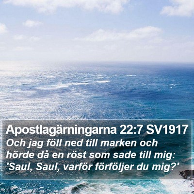 Apostlagärningarna 22:7 SV1917 Bible Verse Image