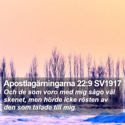 Apostlagärningarna 22:9 SV1917 Bible Verse Image