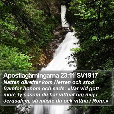 Apostlagärningarna 23:11 SV1917 Bible Verse Image