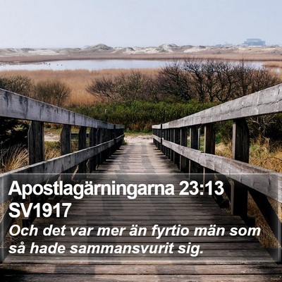 Apostlagärningarna 23:13 SV1917 Bible Verse Image