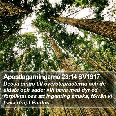 Apostlagärningarna 23:14 SV1917 Bible Verse Image