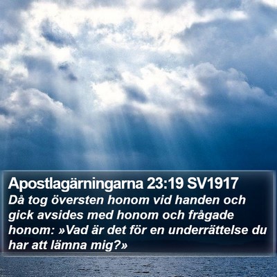 Apostlagärningarna 23:19 SV1917 Bible Verse Image