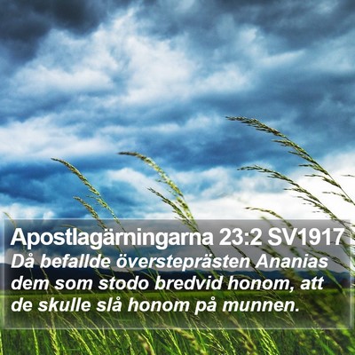 Apostlagärningarna 23:2 SV1917 Bible Verse Image