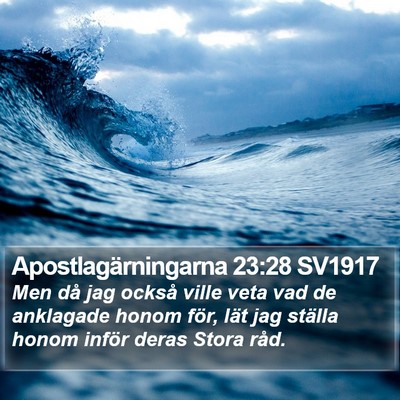 Apostlagärningarna 23:28 SV1917 Bible Verse Image