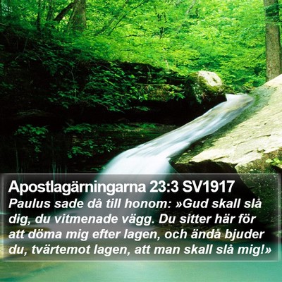 Apostlagärningarna 23:3 SV1917 Bible Verse Image