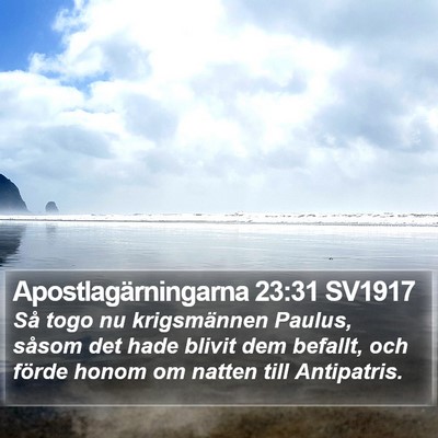 Apostlagärningarna 23:31 SV1917 Bible Verse Image