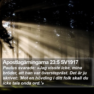 Apostlagärningarna 23:5 SV1917 Bible Verse Image