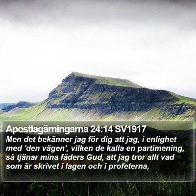 Apostlagärningarna 24:14 SV1917 Bible Verse Image