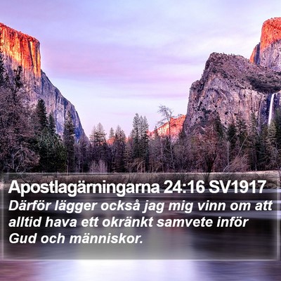 Apostlagärningarna 24:16 SV1917 Bible Verse Image