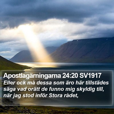 Apostlagärningarna 24:20 SV1917 Bible Verse Image