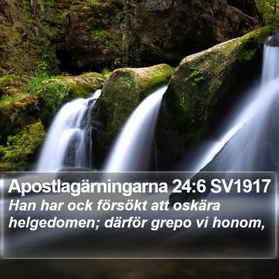 Apostlagärningarna 24:6 SV1917 Bible Verse Image