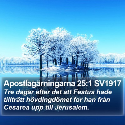 Apostlagärningarna 25:1 SV1917 Bible Verse Image
