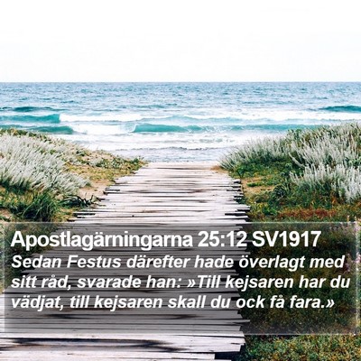 Apostlagärningarna 25:12 SV1917 Bible Verse Image