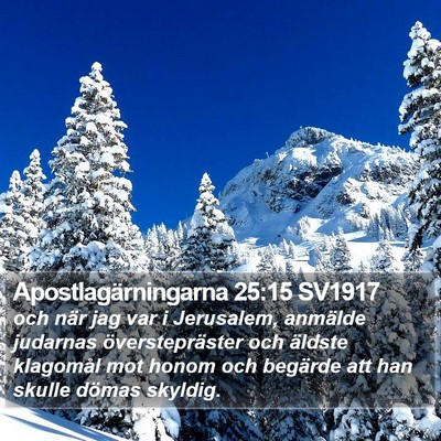 Apostlagärningarna 25:15 SV1917 Bible Verse Image