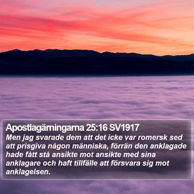 Apostlagärningarna 25:16 SV1917 Bible Verse Image