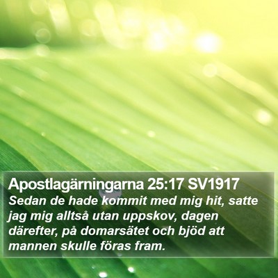 Apostlagärningarna 25:17 SV1917 Bible Verse Image