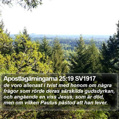 Apostlagärningarna 25:19 SV1917 Bible Verse Image