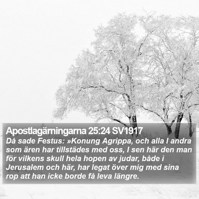 Apostlagärningarna 25:24 SV1917 Bible Verse Image