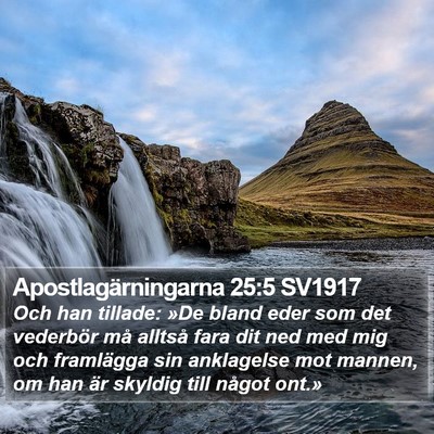 Apostlagärningarna 25:5 SV1917 Bible Verse Image