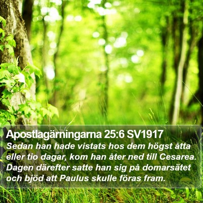 Apostlagärningarna 25:6 SV1917 Bible Verse Image