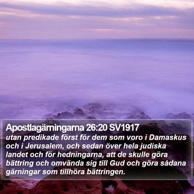 Apostlagärningarna 26:20 SV1917 Bible Verse Image