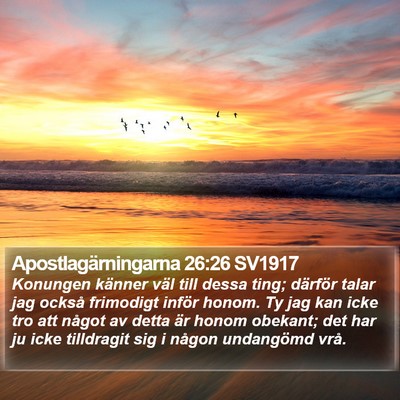 Apostlagärningarna 26:26 SV1917 Bible Verse Image