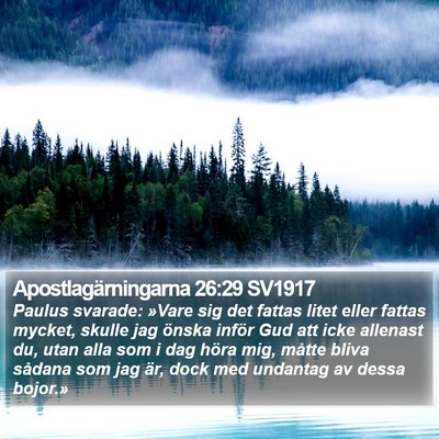 Apostlagärningarna 26:29 SV1917 Bible Verse Image