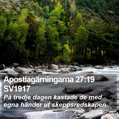 Apostlagärningarna 27:19 SV1917 Bible Verse Image