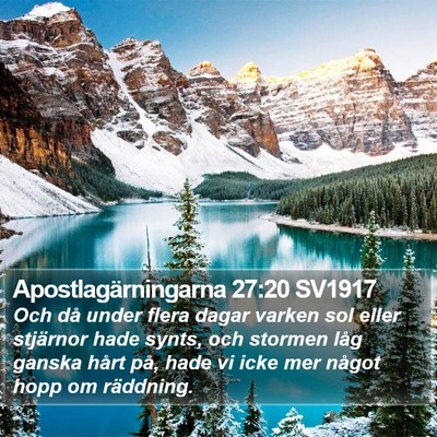 Apostlagärningarna 27:20 SV1917 Bible Verse Image
