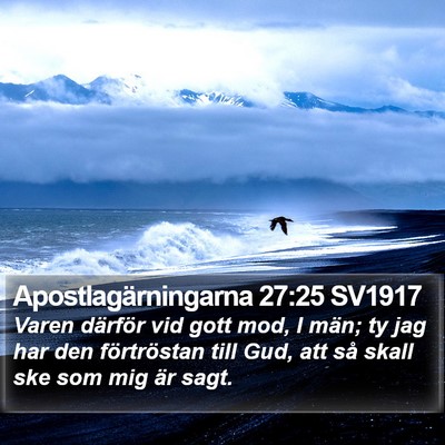 Apostlagärningarna 27:25 SV1917 Bible Verse Image