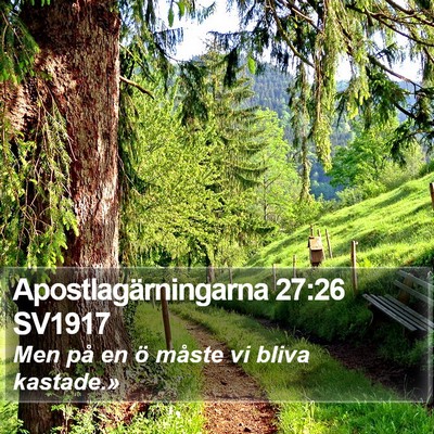 Apostlagärningarna 27:26 SV1917 Bible Verse Image