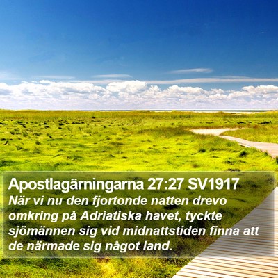 Apostlagärningarna 27:27 SV1917 Bible Verse Image