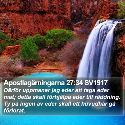 Apostlagärningarna 27:34 SV1917 Bible Verse Image