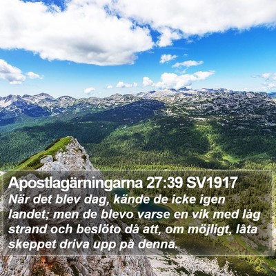 Apostlagärningarna 27:39 SV1917 Bible Verse Image