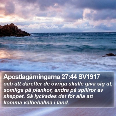 Apostlagärningarna 27:44 SV1917 Bible Verse Image