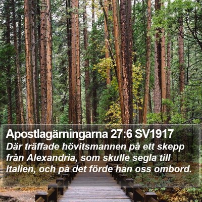 Apostlagärningarna 27:6 SV1917 Bible Verse Image