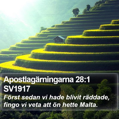 Apostlagärningarna 28:1 SV1917 Bible Verse Image