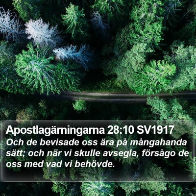 Apostlagärningarna 28:10 SV1917 Bible Verse Image