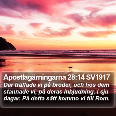 Apostlagärningarna 28:14 SV1917 Bible Verse Image